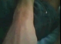 Gay on cam