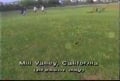 English Football Team Orgy