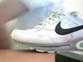 Trainer Cum