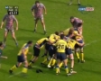 RUGBY CLERMONT SUPER WEDGIE