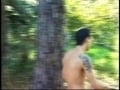 Fun In The Woods