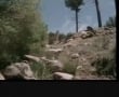 Ranger Bills Solo