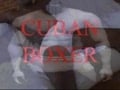 cuban boxer
