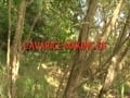 L\'Avarice Making Of