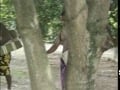 Outdoor Black Sex