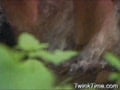 Look Who's Cumming 06