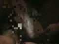 bb_hung_stud_fuck