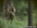 Robin of Gaywood 03