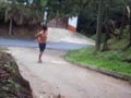Public anal