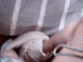 Hot Chinese 23 yo jerking off vid 2