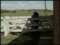 haras