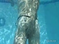 More pool fun