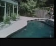 Pool guy