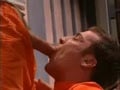 Cell Mates