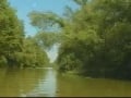 sex on the river