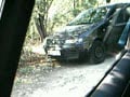 Roadside Sex