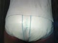  dirty diaper dude