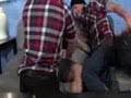 Brent Everett n Twin