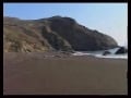 Beach Blow Jobs