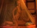 Libido Part 2