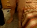 fhay toys