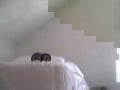 adamlikesapples FL