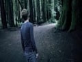 vampire's hunting