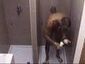 Andrea Shower