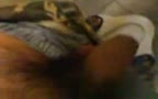 touch in toilet