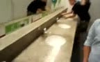 Twink Cute Show Toilet