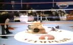 French-Canadian wrestling