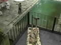 pool man gets serviced