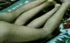 Homemade