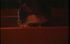 Beer And Cock In The Shed -