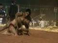 Traditional indian mud wrestling