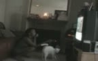 Colin Farrell sex