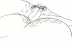 Animated Short