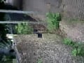 chav fence