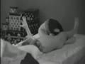 Big  Norway- David running nude