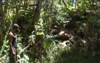 Interracial Jungle Fuck
