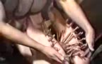 amo tortura a esclavo