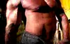 muscle