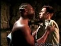 gay