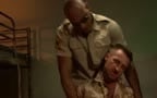 two muscle *dies go at it 