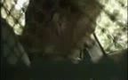 Justin Dragon Hitchiking