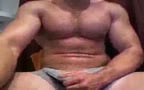 Bear and stud