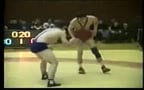 freestyle wrestling