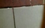 Public Urinal