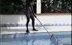 mexican Twinks on pool