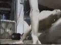 crappy wrestling